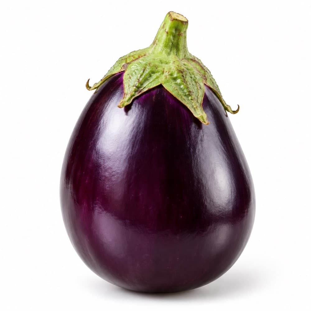 Chubby eggplant