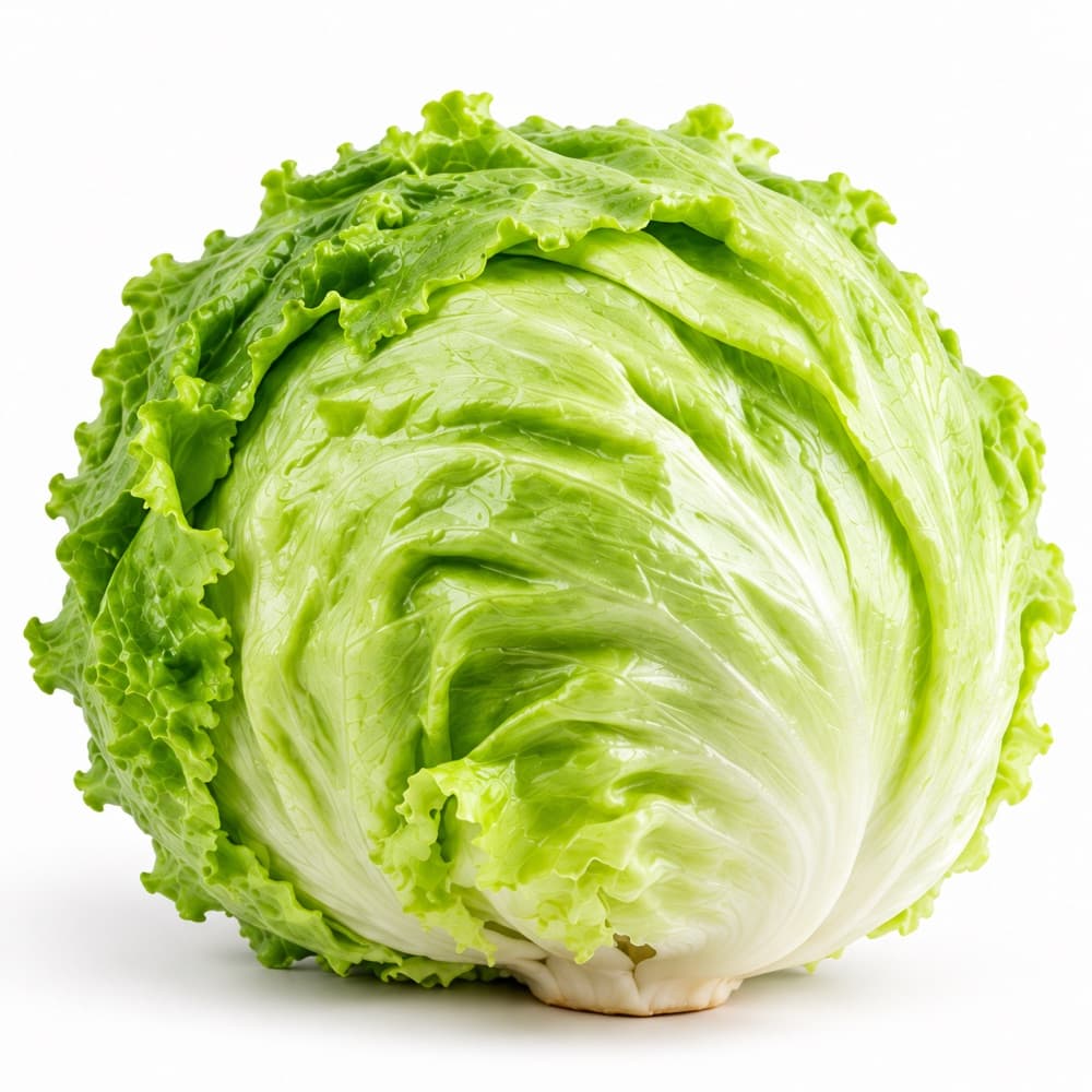 Iceberg lettuce