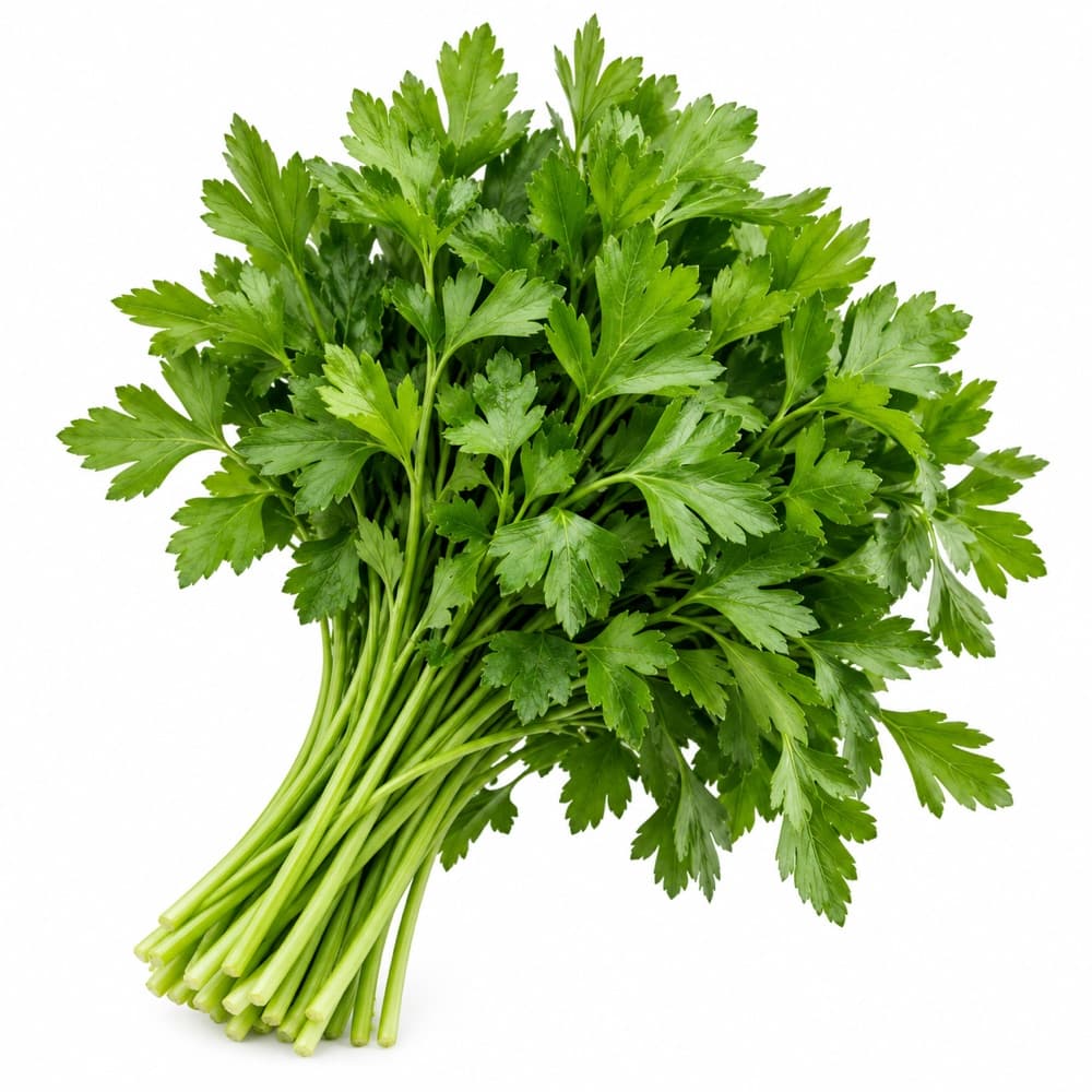 Parsley