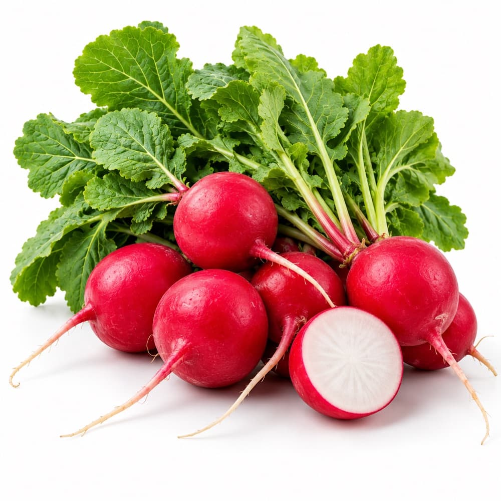 Radish