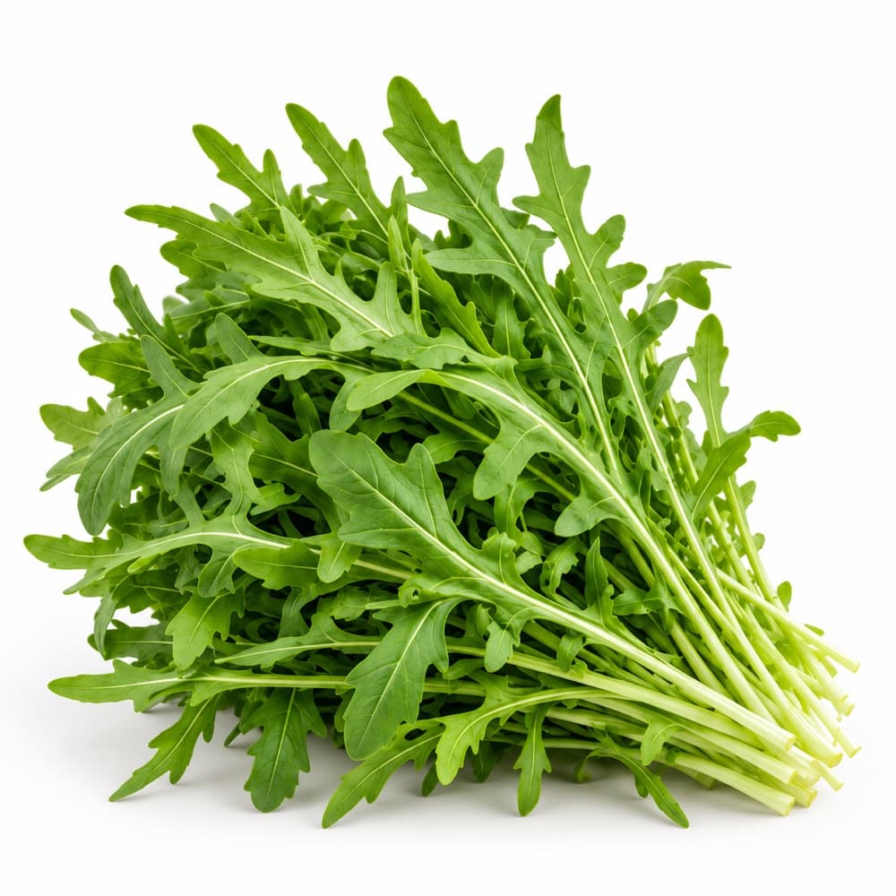 Rocket (rocca)