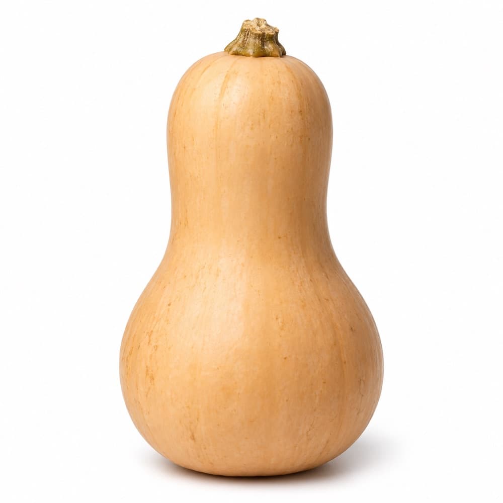 Waltham butternut