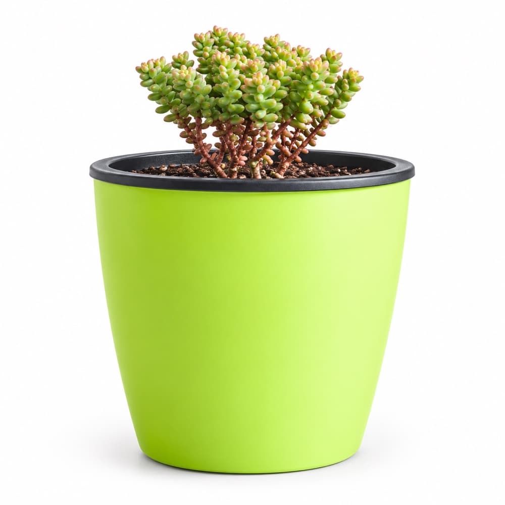 Self-watering Pot 2